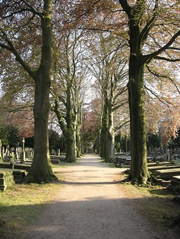 Begraafplaats_Daalseweg_Nijmegen